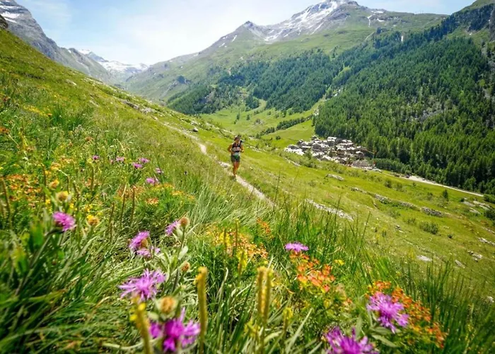 Balme 3b - A Mont Blanc Haven Apartment Chamonix