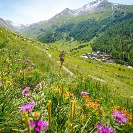 Balme 3b - A Mont Blanc Haven Apartment Chamonix